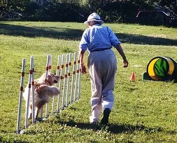 Pagey invited ARFF to use a field at her farm